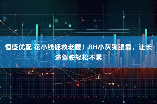 恒盛优配 花小钱拯救老腰！8H小灰狗腰靠，让长途驾驶轻松不累