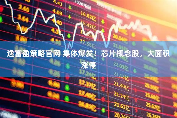 逸富盈策略官网 集体爆发！芯片概念股，大面积涨停